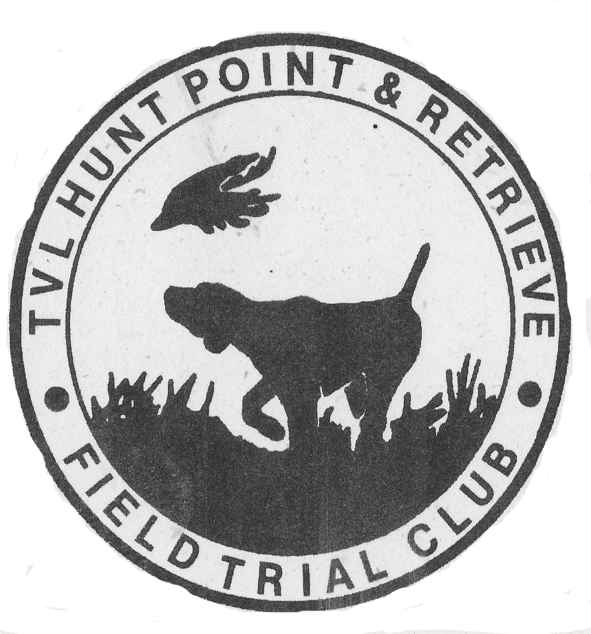 LOGO2